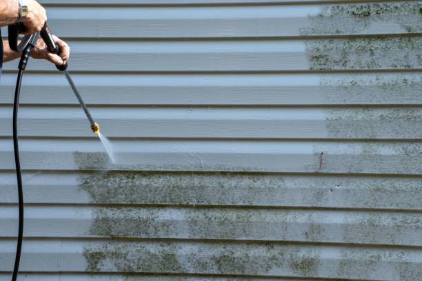 Best Custom Trim and Detailing for Siding  in Wake Forest, NC